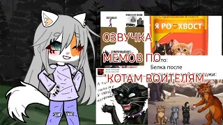 ОЗВУЧКА МЕМОВ ПО КОТАМ ВОИТЕЛЯМ /не по теме канала/ °~DKetna~°