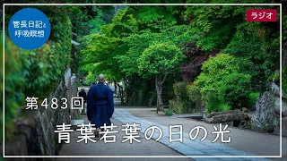 第483回「青葉若葉の日の光」2022/5/4【毎日の管長日記と呼吸瞑想】｜ 臨済宗円覚寺派管長 横田南嶺老師