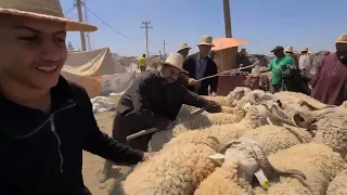 مباشرة من حد المنابهة مراكش السوق كان طالع والشناقة دارو فينا مابغاو