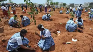 Earthcast SOS - India Plants 50 Million Trees, Climate in Crisis