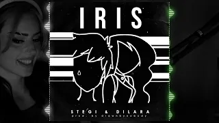 Stegi & Dilara - "Iris" (Goo Goo Dolls) | AI Cover