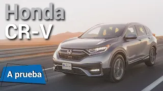 Honda CR-V 2020 - La reina se actualiza | Autocosmos