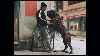 Tilhon - Lá na Rua 🦍