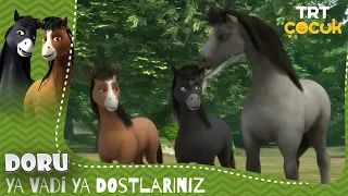 DORU | YA VADİ YA DOSTLARINIZ