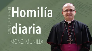 Homilía 04.06.2024 / Martes 9ª semana del Tiempo Ordinario