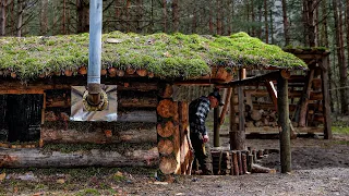 Log cabin building, Made a warm raised bed, Prepared the boards for the new lodge