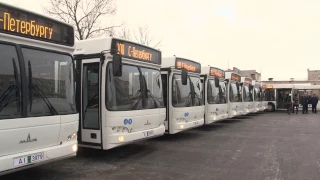 Новые автобусы в Колпино
