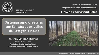 Sistemas Agroforestales con Salicáceas en valles de Patagonia Norte