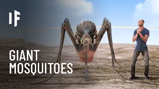 What If Mosquitoes Were the Size of Humans?
