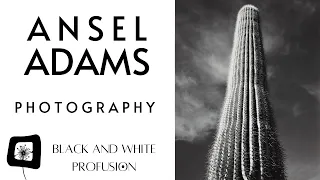 Black and White Photography "Ansel Adams" | Featured Artist