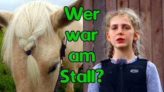 Unerwünschter Besuch am Stall: Wer war bei meinem Pferd?