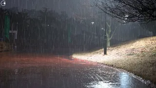 Perfect rain sound for insomnia and sleep in an empty night park. ASMR relaxing white noise.