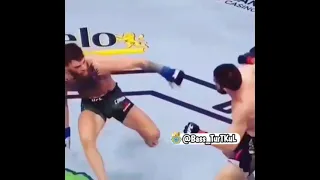 Habib vs conor jangi