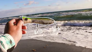 Beach Fishing With a Big Popper
