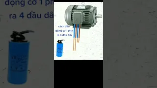 cách đấu động cơ 1 pha ra 4 đầu dây #điệntổnghợp #electrical #diy #electric