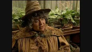 Harry Potter and the Chamber of Secrets - Miriam Margolyes short interview