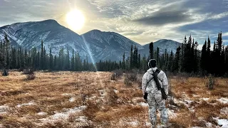 2022 BC LEH Bison Hunt - Hunting BC @cheechakooutdoors