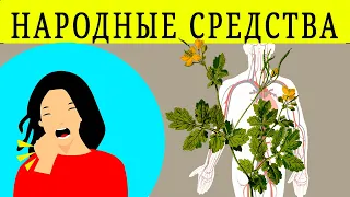 Народные средства от простуды САМЫЕ ЛУЧШИЕ! как лечить простуду народными средствами