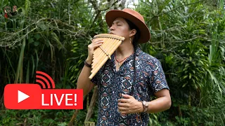 Live Flute Music in Nature