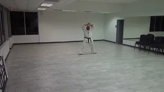 T.N.T. Ryu no Tate jutsu Kururunfa Kata