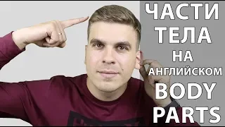 Части тела / Body parts на английском за 1 минуту в формате песни