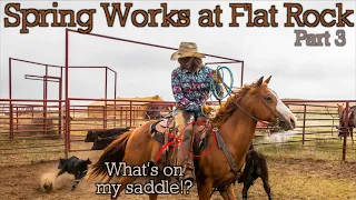 What's on my saddle!? Spring Works on the Flat Rock - Rodeo Time 210 part 3