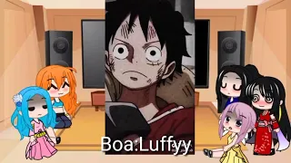 One piece girls react to luffy | by Nami, Hancock, Robin and Vivi etc.