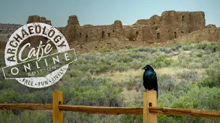 The Importance of Birds in Chaco Canyon