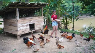 How To Build Chicken Coop, Chicken Farming - Farm Building / Free Bushcraft Ep.86