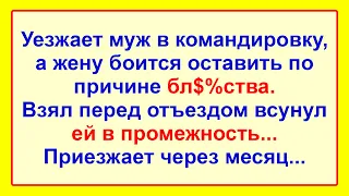 Самые Смешные Анекдоты для Настроения! Отличный Сборник Жизненных Анекдотов! Юмор!