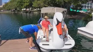 Swan boats at Lake Eola in Orlando | We Love Florida