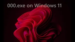 000.exe on Windows 11