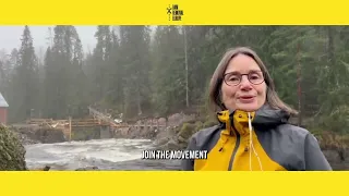 International Day of Action for Rivers 2024 - Dam Removal Europe