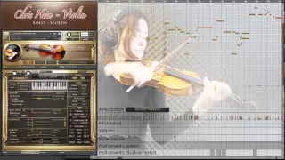 Best Service - Chris Hein Solo Violin - Demo Czardas