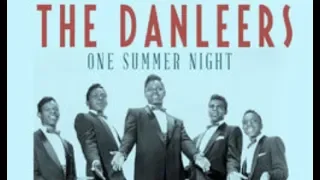 The Danleers - One Summer Night