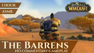 Vanilla Barrens - Gameplay No Commentary, ASMR (1 hour, 4K, World of Warcraft Classic)