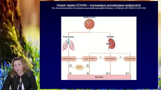 Ренопротекція у хворих на артеріальну гіпертензію на тлі епідемії COVID-19. Кушніренко С. В.