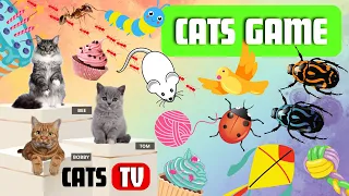 CAT Games | Ultimate Cat TV Compilation Vol 4 | 2 HOURS 🐝🐞🦋🦎🦜🐜🐭🧵