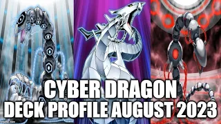 CYBER DRAGON DECK PROFILE (AUGUST 2023) YUGIOH!