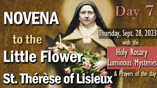 🌺 NOVENA to St. Thérèse of Lisieux 🌺Little Flower🌺DAY 7🌺Thursday Rosary, Luminous Mysteries