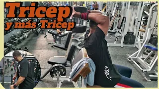 Rutina  De Triceps así se ven más grande trabajando las cabezas  por separado  /MundusYaya