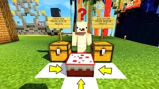 SAKAR BEBEĞİN DOĞUM GÜNÜNÜ KUTLADIK !! 😱 - Minecraft