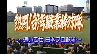 熱闘! 台湾職業棒球隊  ～追いこせ 日本プロ野球～ (1995年)