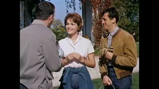 Ein Sommer, den man nie vergisst (1959)