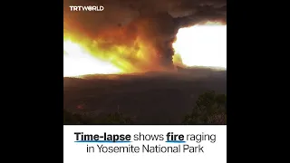 Wildfire threatens thousands of years old giant sequoia trees