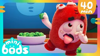 A Fuse no le gustan los vegetales 🥬|🌈 Caricaturas para niños🌈 | Minibods en Español