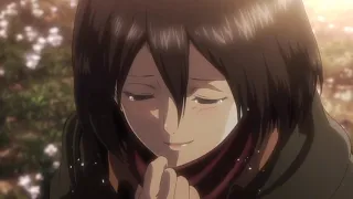 Sugar Crash Mikasa Edit