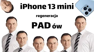 iPhone 13 mini regeneracja PAD ów - dla dzieciaków!