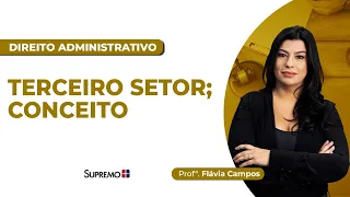 TERCEIRO SETOR; CONCEITO | Profª Flávia Campos