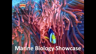 Marine Biology Showcase